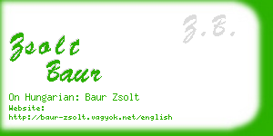 zsolt baur business card